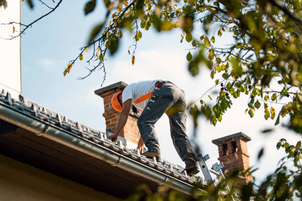 Best Residential Roofing Contractor  in Mascotte, FL