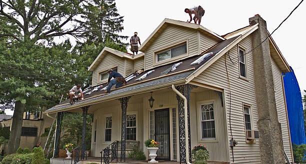 Roof Gutter Cleaning in Mascotte, FL