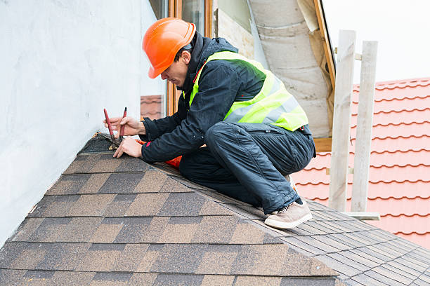 Best Flat Roof Repair Services  in Mascotte, FL