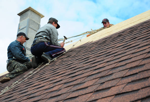 Best Metal Roofing Contractor  in Mascotte, FL