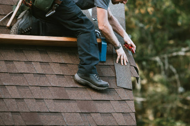 Best Roof Gutter Cleaning  in Mascotte, FL