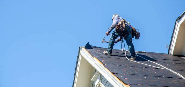 Best Residential Roofing Contractor  in Mascotte, FL